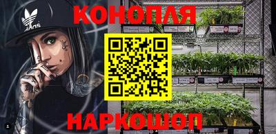гидропоника Будённовск