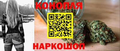 гидропоника Будённовск