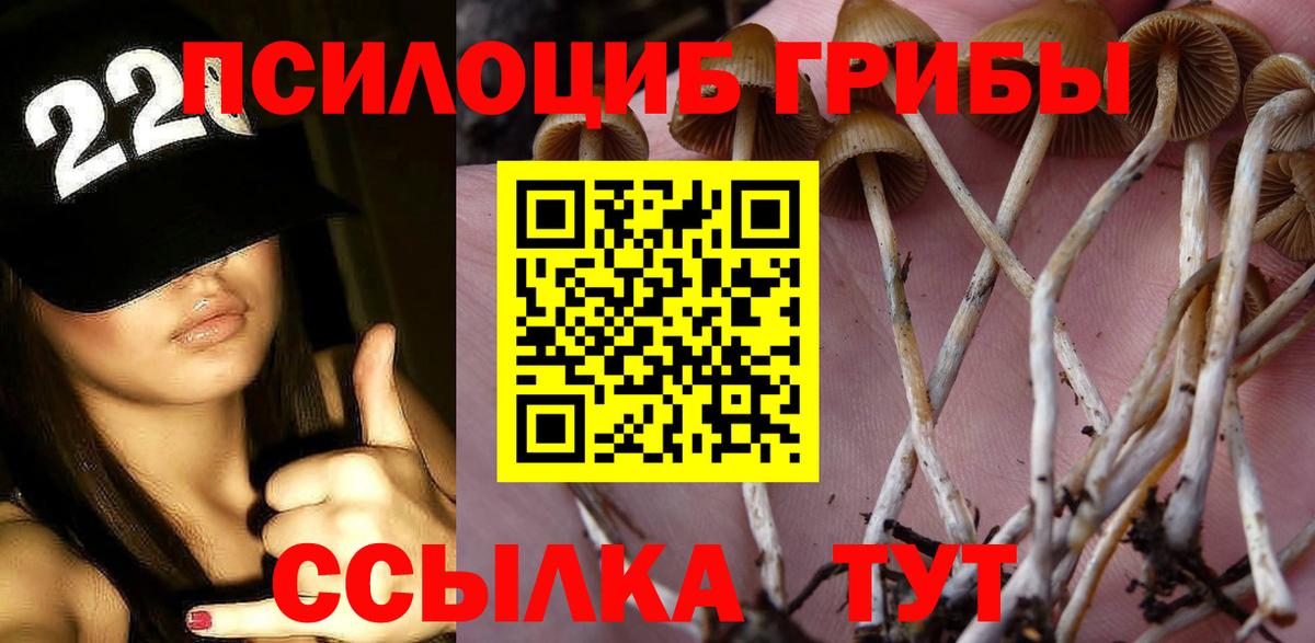 Галлюциногенные грибы Magic Shrooms Карабулак