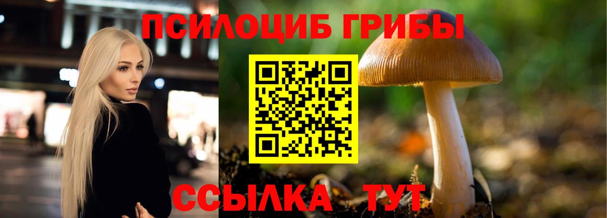 Псилоцибиновые грибы ЛСД  цены наркотик  Галлюциногенные грибы мухоморы  Карабулак  Вход с VPN 